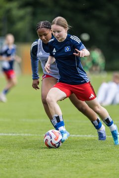 Bild 198 - wBJ HSV Leistungsvergleich